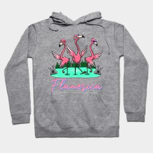 Flamerica Flamingos Hoodie